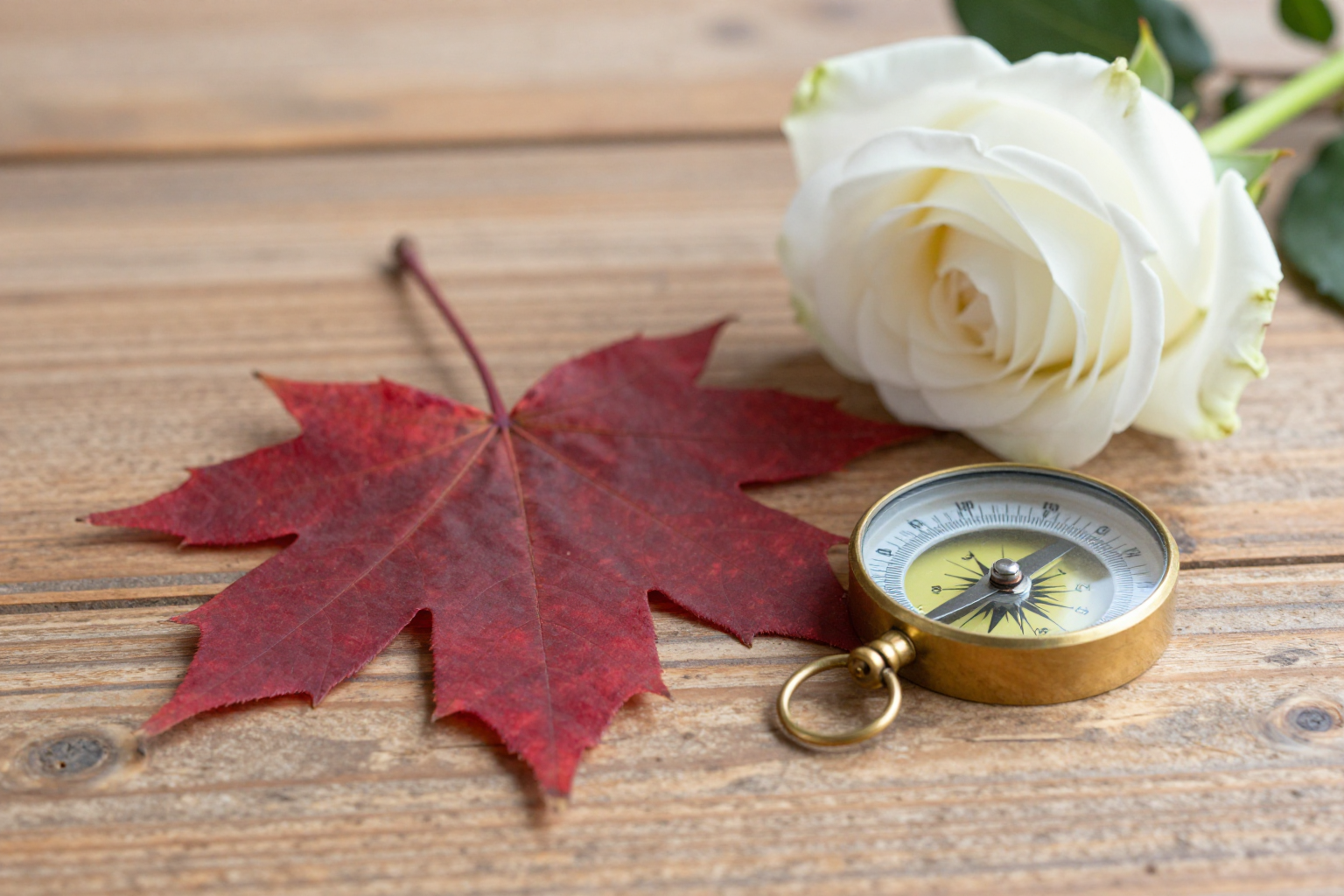 Canadian Dollar to USD: How to Get a Fair Rate and Keep More of Your Money